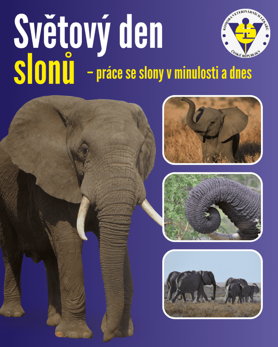 2026-08-12-Evropský den národních parků (8).png